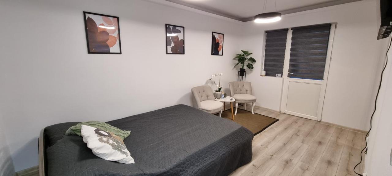 Radu'S Room Curtea de Argeş 外观 照片