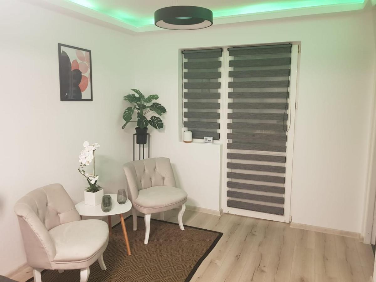 Radu'S Room Curtea de Argeş 外观 照片