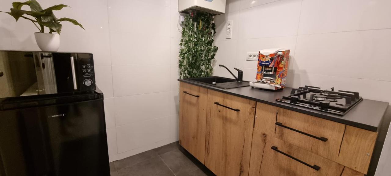 Radu'S Room Curtea de Argeş 外观 照片